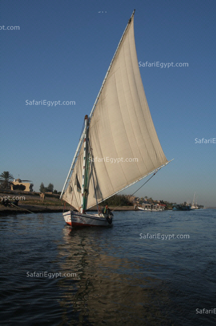 Nile felucca in Luxor, Egypt