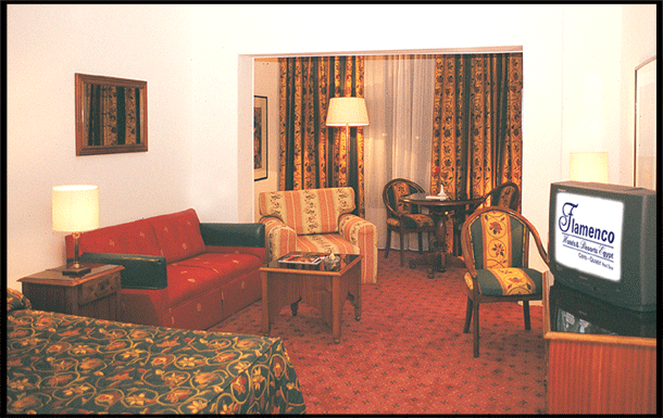 Standard Room, Flamenco Hotel Cairo