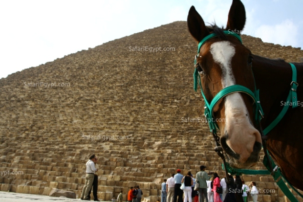 Photo Pyramid