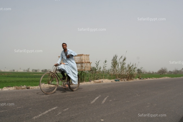 Photo Cairo Suburbs