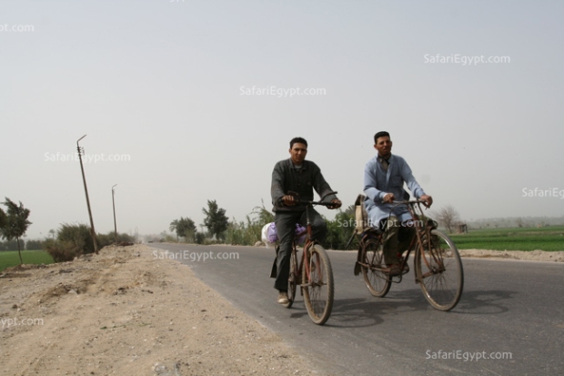 Photo Cairo Suburbs