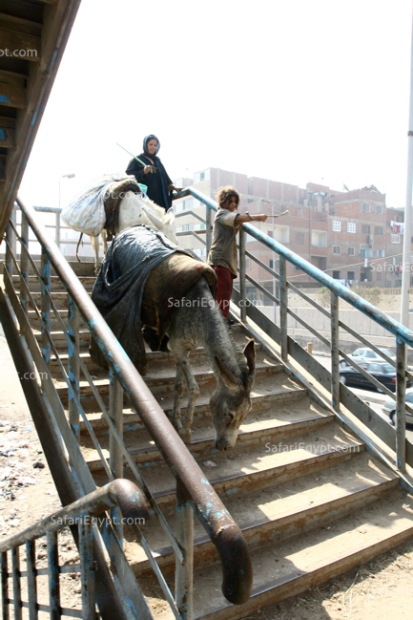 Photo Cairo Suburbs